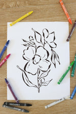 Load image into Gallery viewer, Coloring Pages Variety Pack
