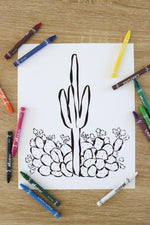 Load image into Gallery viewer, Coloring Pages Variety Pack
